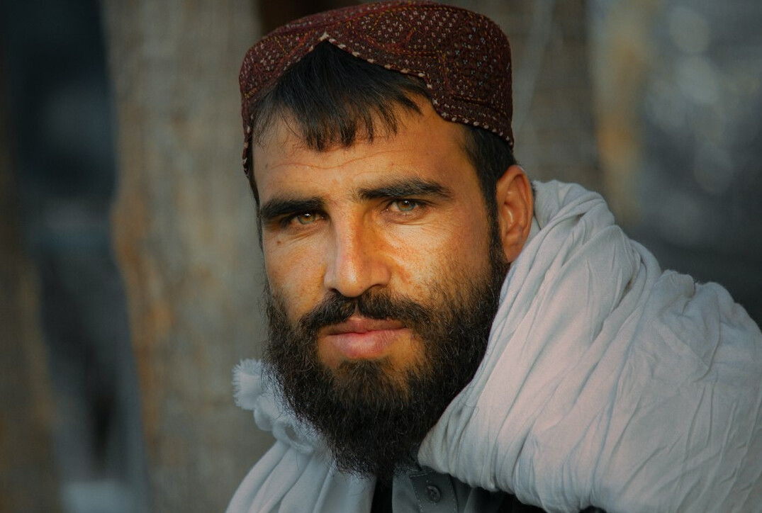 Portrait of a man with a beard looking at the camera